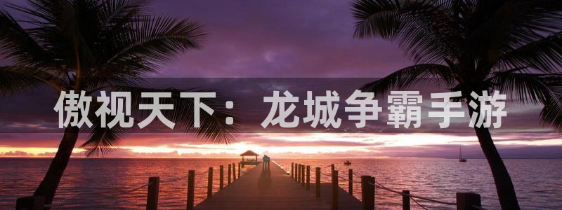 28大神官方网站手机版