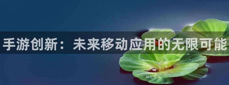 28大神app下载苹果