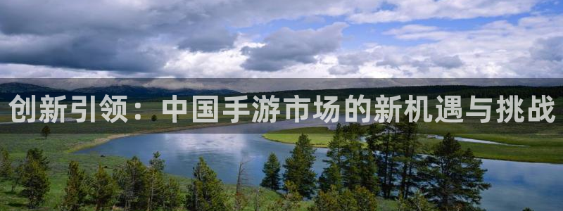 com.pc28.大神：创新引领：中国手游市场的新机遇与挑战