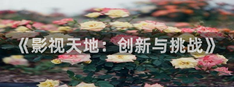 神马电影老子：《影视天地：创新与挑战》