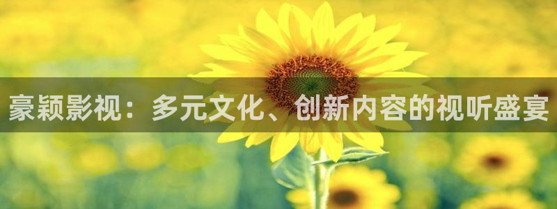 老子理伦电影：豪颖影视：多元文化、创新内容的视听盛宴