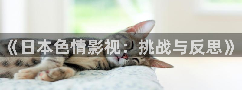 神马老子影院午夜观看网站：《日本色情影视：挑战与反思》