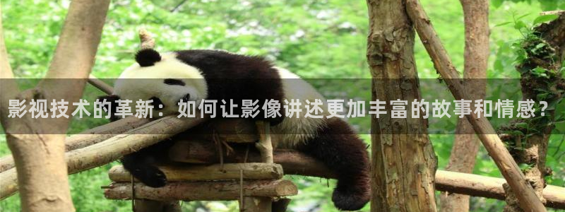 老子精品影院：影视技术的革新：如何让影像讲述更加丰富的故事和情感？